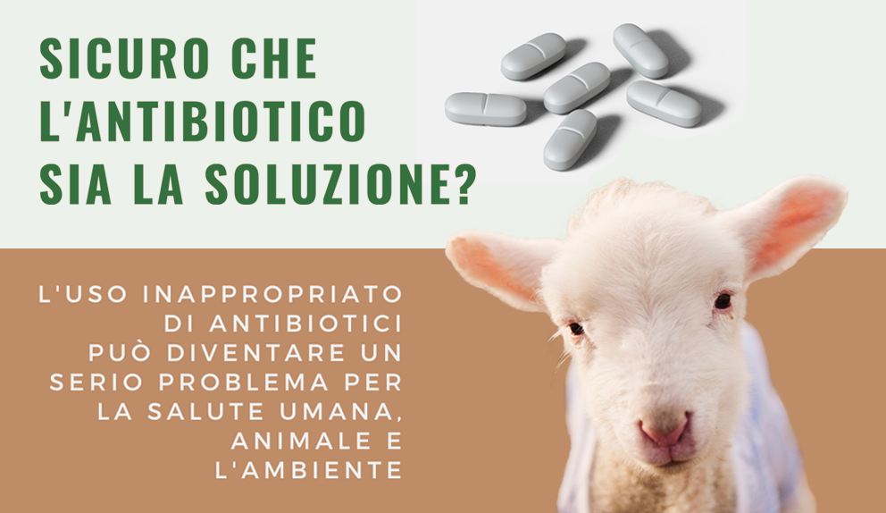 Foto campagna pubblicitaria