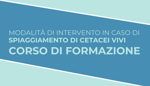 corso di formazione
