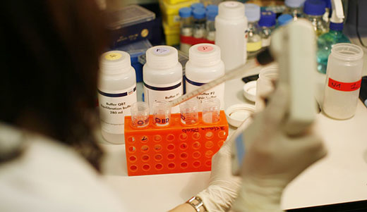 Attività in laboratorio