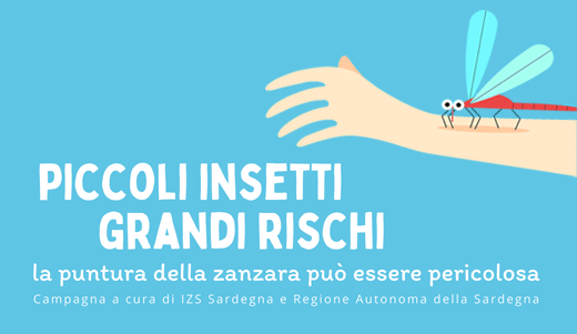 Piccoli insetti. Grandi rischi